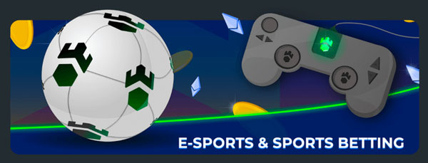 At Gamdom Casino you can not only bet on sports but on e-gaming like CS:GO tournaments too.